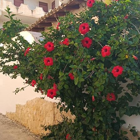 Al Faro Bed & Breakfast Realmonte Ngoại thất bức ảnh