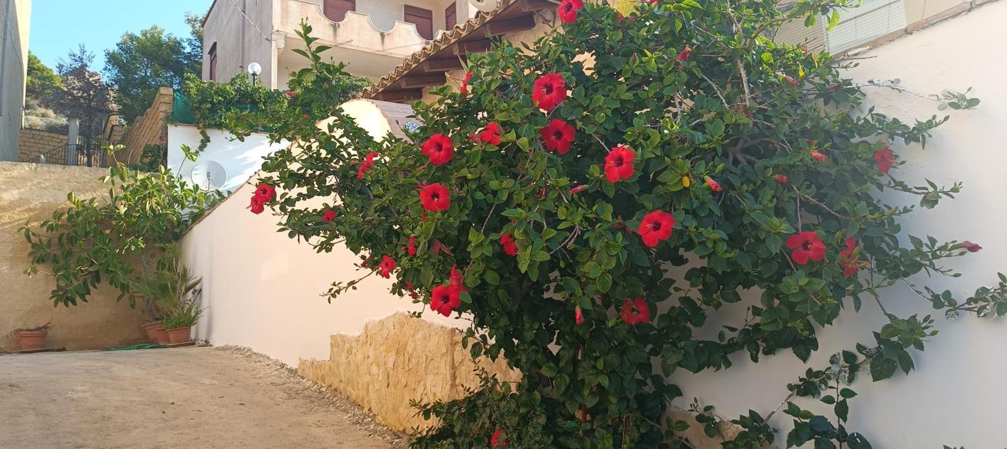 Al Faro Bed & Breakfast Realmonte Ngoại thất bức ảnh